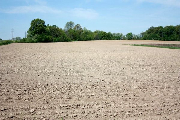 REAL ESTATE AUCTION - 126+/- ACRES OFFERED IN 4 TRACTS IN GREENE COUNTY, INDIANA